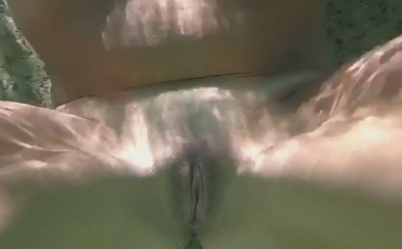 PAWG MILF Nude Underwater - Mature Skinny Dipping Nudity Slideshow