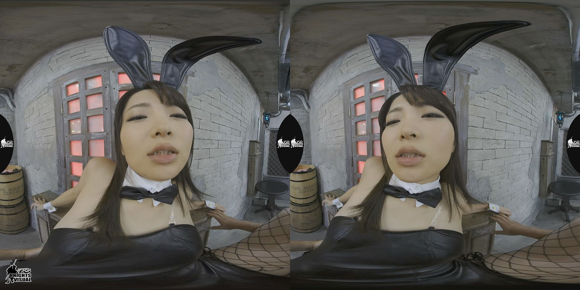 3DVR Cumming with the Bunny Girl; Japanese VR Porn Slideshow