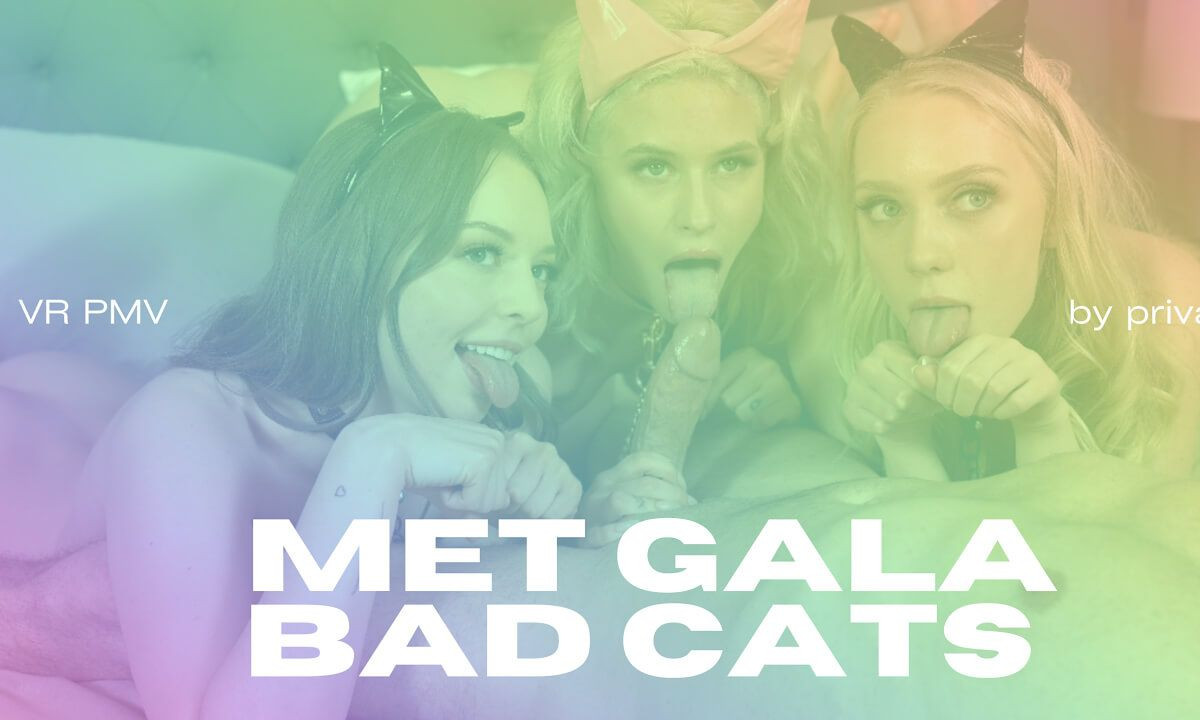 Met Gala Bad Cats - VR Porn PMV | By  Slideshow